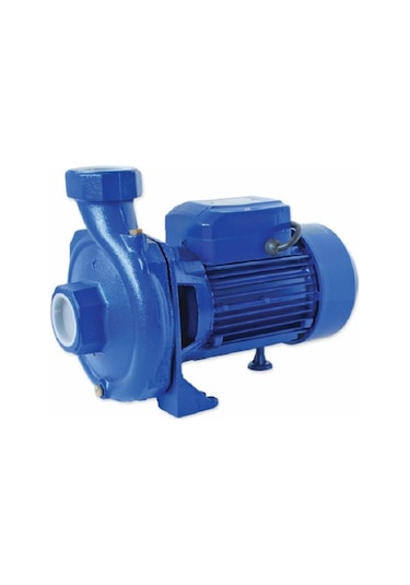 Water Ws-10 Tek Kademeli Santrifüj Pompa 2 Hp 220V