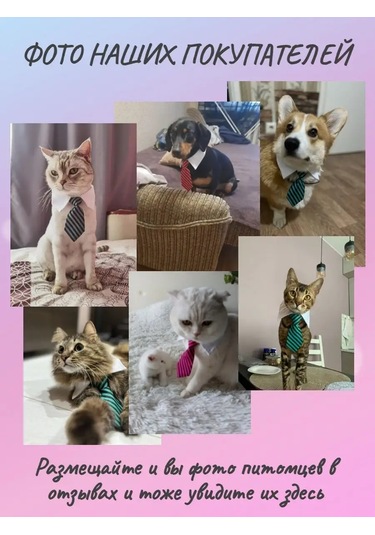 Tevdı Köpekler Ve Kediler İçin Çizgili Askılık Boyun Aksesuarı 91193897