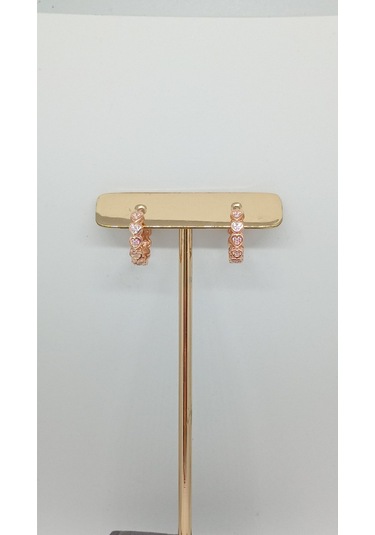 Kalpli Taşlı Sevimli 925 Ayar Gümüş Küpe Zarif Ve Modern Tasarım Gümüş