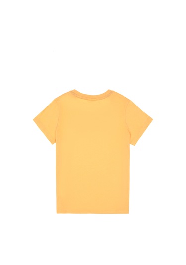 U.s. Polo Assn. Erkek Çocuk Kavun Tişört Basic 50306483-vr202 Kavun Açık Turuncu