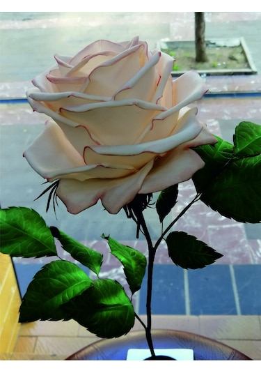 Dekoratif Gül Ambiyans