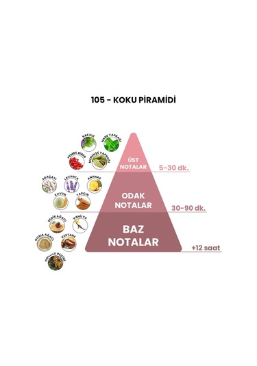 BEX 105 Erkek Parfüm EDP 50 ML