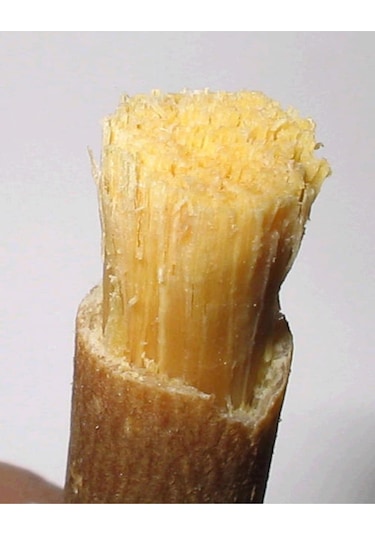 Swak-Al Şifa Vakumlu Poşet Misvak 4 Adet