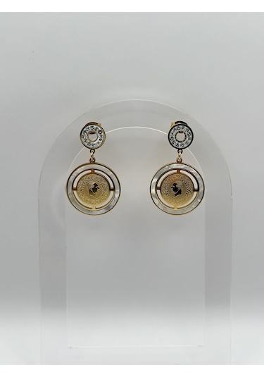 Arnes Jewelry Çelik Çeyrekli Zirkon Taşlı Küpe Ar181nes Gold