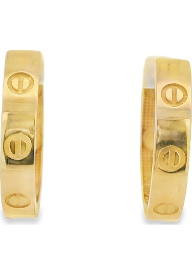 Cigold Taşsız Küpe 14 Ayar Altın 3.10 Gr Oa-k1tb01029365 Renkli