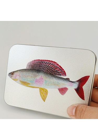 Dolıty Sinekler Depolama Kutusu Sınıflandırılmış Orta