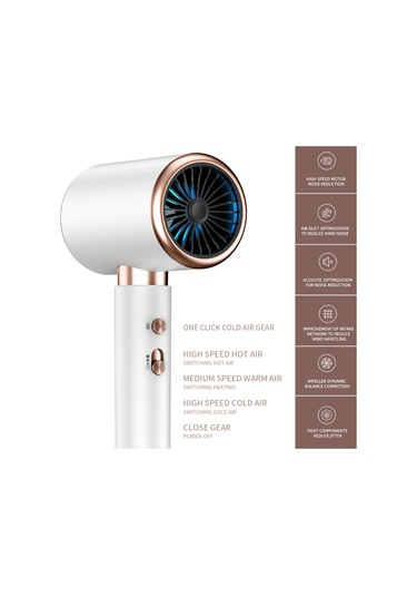 Yüksek Hızlı Elektrikli Saç Kurutma Makinesi Anion Yüksek Güçlü Salon Ev Kullanı