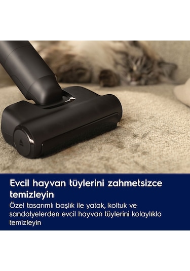 Electrolux EP82AB25UG 800 Serisi Animal Dikey Şarjlı Süpürge