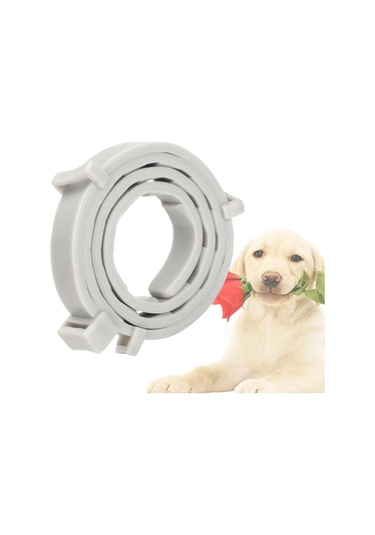 Suntek Kedi Köpek 10 Ay Koruma Evcil Hayvan Malzemeleri 62cm-gri Gri