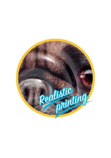Intex Badeinsel Pug