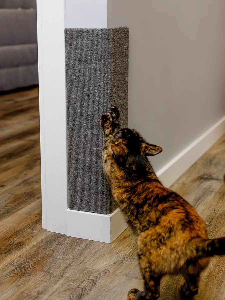 Dzessi Köpek Tırmalama Tahtası Köşe Halı Duvar 32 Cm 213783576