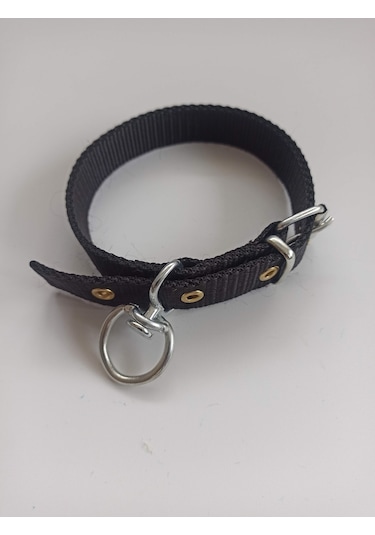 Kozaklı Küçük Irk Köpek Tasması Siyah 50 x 2.5 CM Siyah