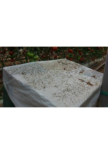 Bytrap Tuta-tut Sinekler İçin Yapışkan Tuzak 5 L