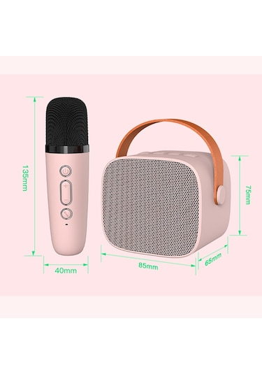 Reedark Mikrofonlu Kablosuz Bluetooth Hoparlör Karaoke Hoparlör Modeli: P2 Çift Mikrofon Beyaz