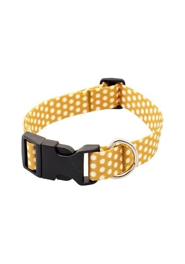 Pettagart Puantiyeli Turuncu Küçük Irk Köpek Boyun Tasması M Boyun 25 Cm X 40 Cm / 2 Cm Çok Renkli