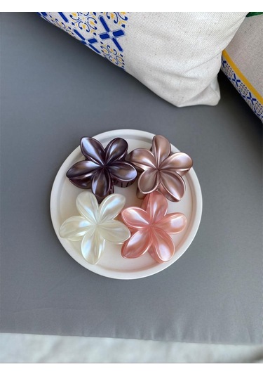 4'lü Set Pastel Mat Renk Lotus Toka Çok Renkli