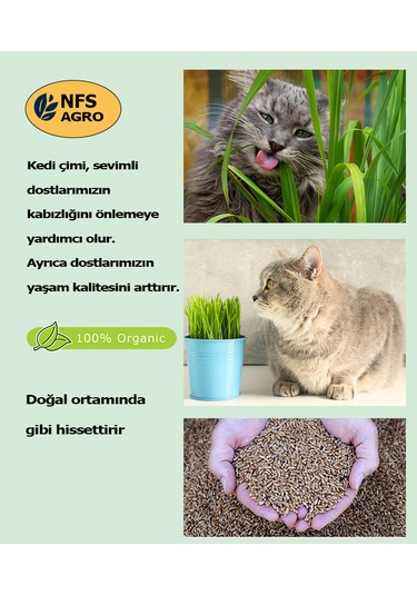 Kedi Çimi Tohumu 750 GR