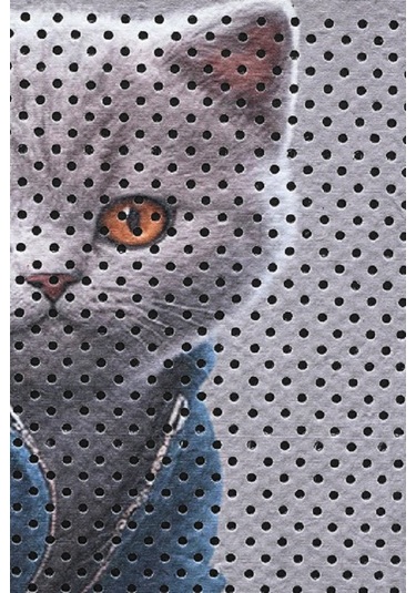 Kedi Kumu Paspası Kedi Tuvaleti Paspası Dijital Baskılı