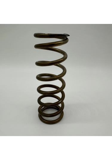 Transpalet Pompa Yayı Krom Paslanmaz