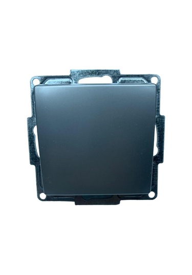 Günsan Visage Ambiance Gümüş Tekli Anahtar Çerçevesiz