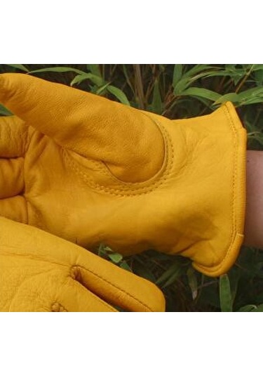 Ccgloball Soğuk Eldivenler Kalınlaşır Sarım - L