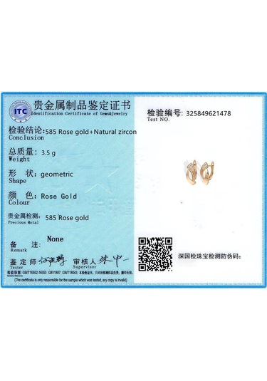 Gül Altın Basit Geometri Zirkon Küpe