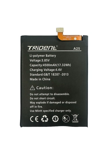 Trident A25 Batarya Pil 4500 Mah Aaa Kalite