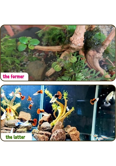 Vkemall Doğal Koral Yapılı Akvaryum Dekorasyonu: Süngerli Dal Yapısı Su Altı Ormanı, Sürüngenluk Ve Mikropeyzajlar İçin 20-25cm Derinleşmiş Ahşap Halka Sağlıklı, Her Bir Farklı Boyut-ağırlık