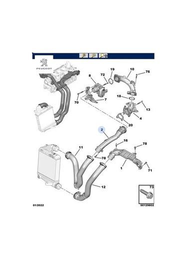 Hava Bağl Rako Peugeot 9831710780