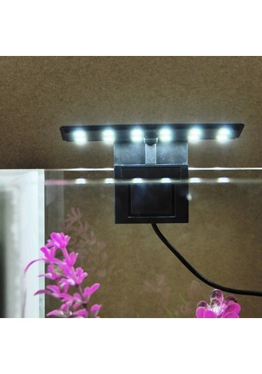 Silkroadselect Longbangdian Shop Stil 1 Stil Led Akvaryum Işık Klipsi, Dikilen Tuzlu Su Tatlısu Balık Tankı Akvaryum Dekoratif Lambası Için Küçük Led Işık Üzerinde Renkli