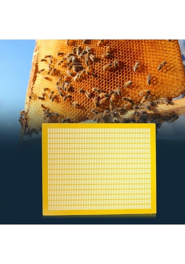 Pazly Suntek Sarı Pratik Kraliçe Dışlayıcı Çerçeve Arı 10 Hs