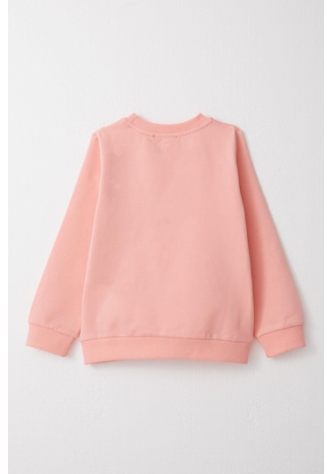 Breeze Kız Çocuk Eşofman Takım Sevimli Sihirbaz Tavşancık Baskılı 1-4 Yaş, Somon-somon Somon