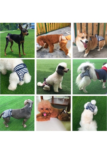 Pet Çizgili Fizyolojik Pantolon Köpek Adet Pantolonu, Boyut: S Mavi