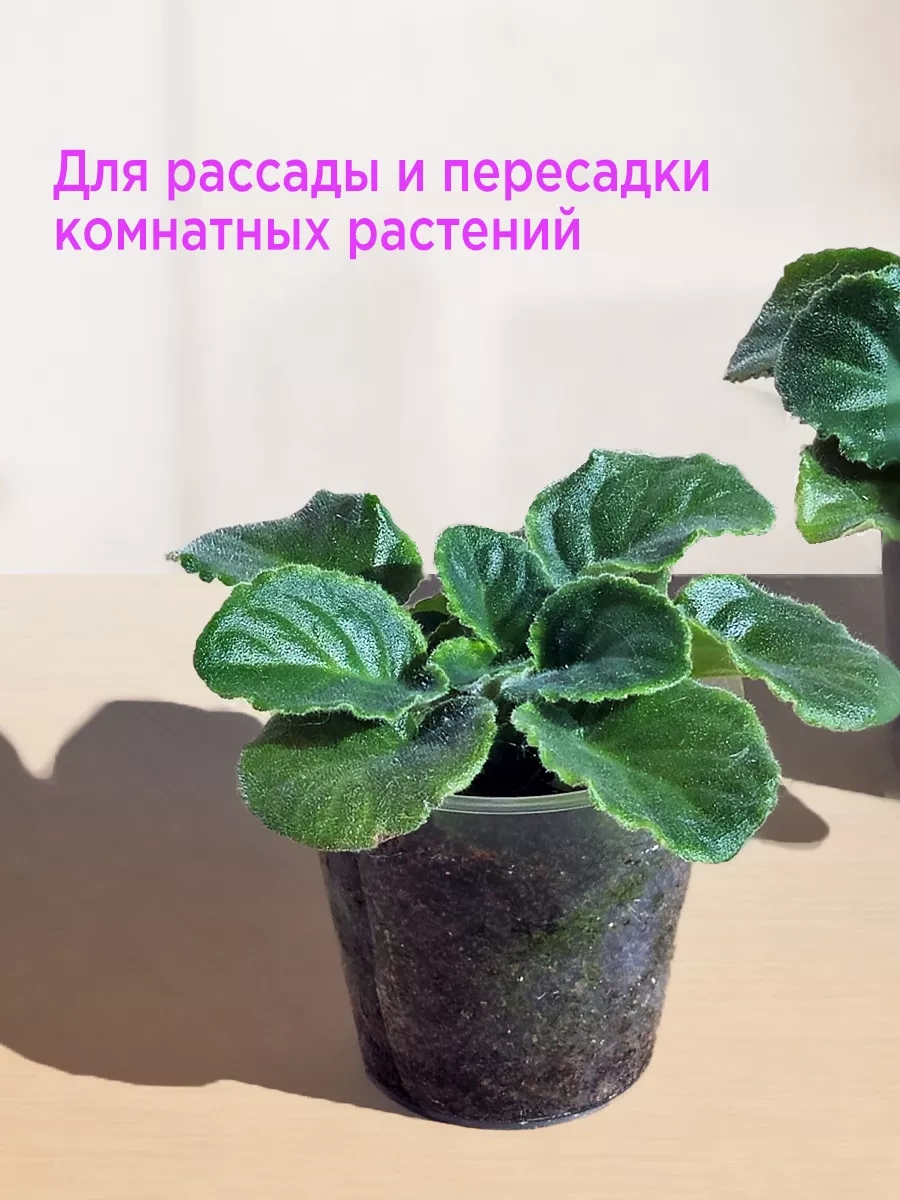 Lajtkompakt Tek Kullanımlık Plastik Bardaklar 300 Ml, 50'li Set 242061338 100 adet