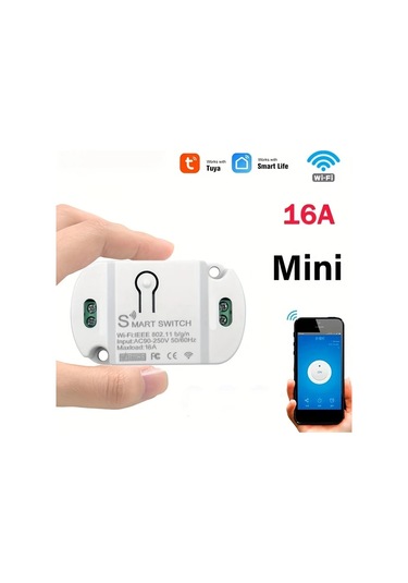 16a Wifi Akıllı Anahtar, 10a / 16a Kablosuz Uzaktan Kumanda İle Dweet Akıllı Yaşam Uygulaması Ve Alexa Google Ev