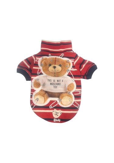 Toy Teddy Esnek, Küçük Köpek Triko Sweatshirtü