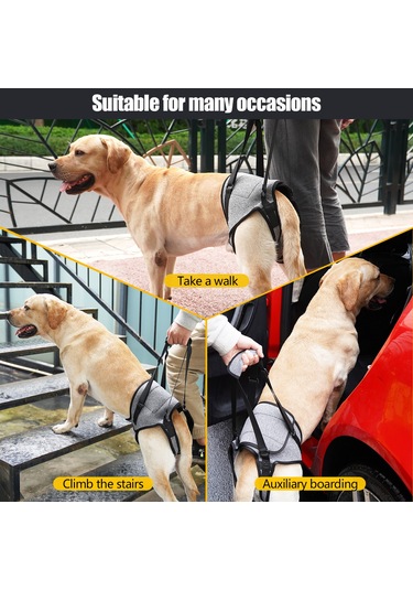 Wezone Yaşlı Ve Engelli Köpekler İçin Destekli Yürüyüş Askısı - Rahat Ve Ayarlanabilir Xl Boy Gri Tasarım Gri