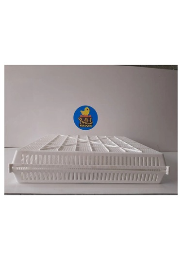 Kuluçka Çıkım Sepeti 72 Tavuk Yumurta Kapasiteli 46,5x40