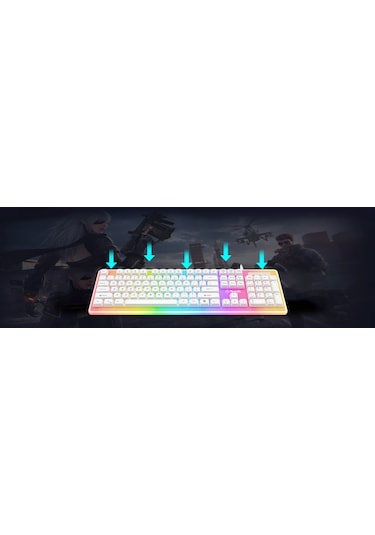 North Paladin Mekanik Hisli Türkçe RGB Gaming Klavye