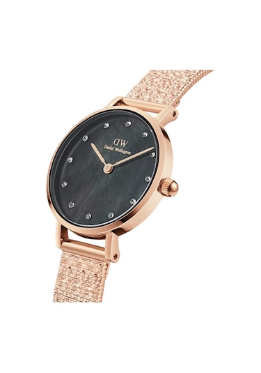 Daniel Wellington Dw00600591 Kadın Kol Saati Diğer
