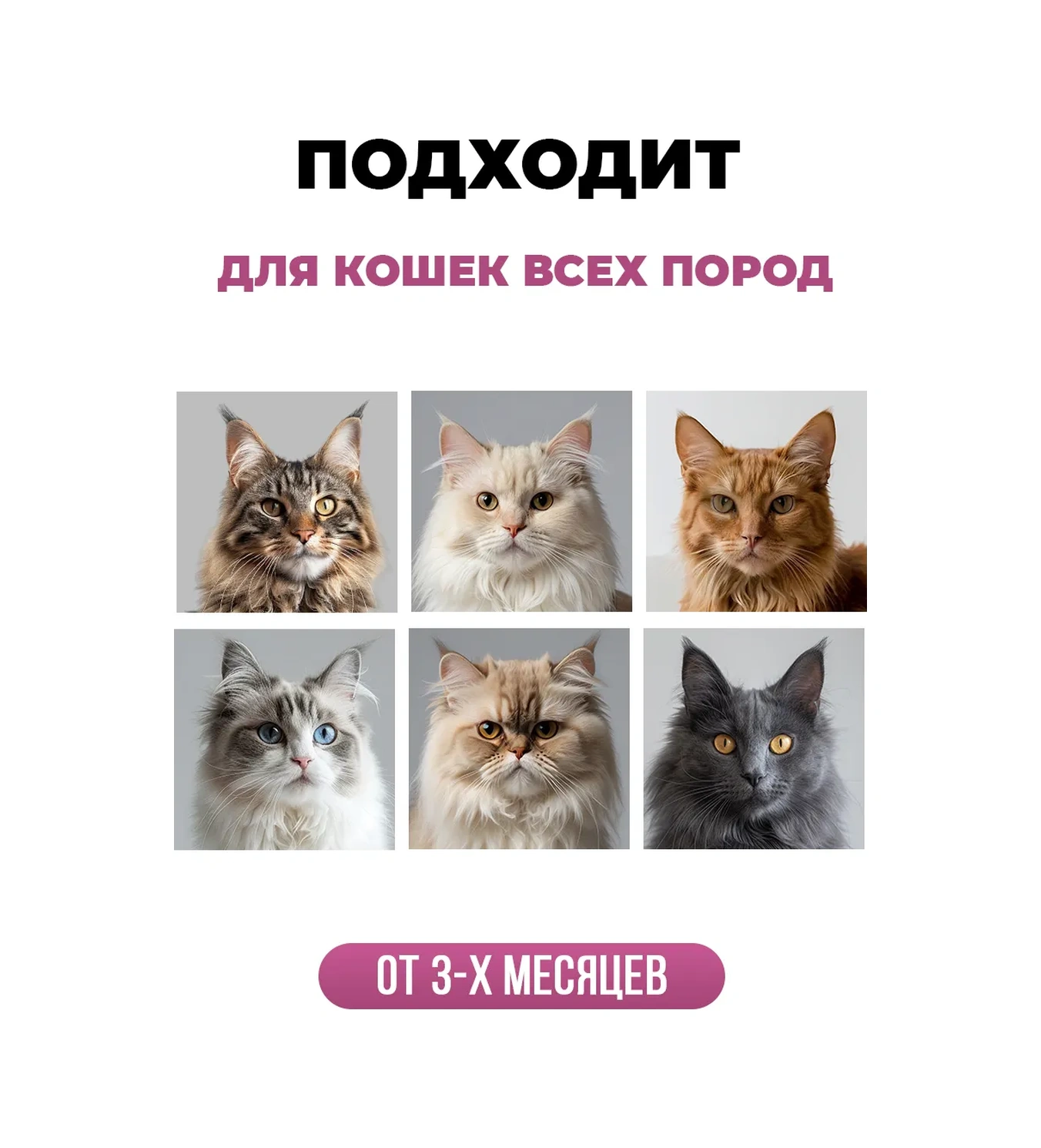 Spets Uzun Tüylü Kediler İçin Hipoalerjenik Şampuan, 500 Ml 259023218