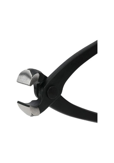 Workpro Wp231123 250mm Cr-v Profesyonel Betoncu Kerpeteni