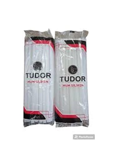 Tudor Macrofix Mum Silikon İnce 1kg