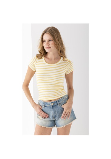 Giysa Kadın Bisiklet Yaka Çizgili Basic Body Sarı - 25509 Sarı