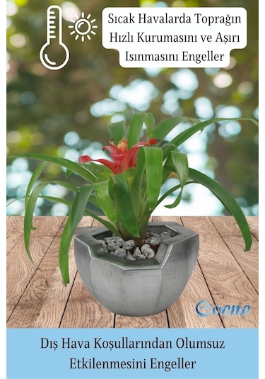 Saksı Çiçek Kaktüs Saksısı Lüx 15 Cm Önü Açık Desenli 3'lü Set Çiçeklik - Gümüş Eskitme