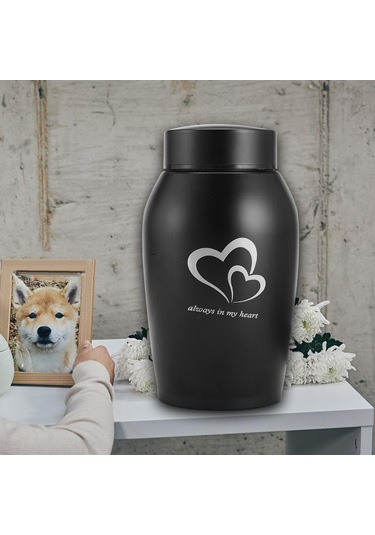 Homyl Köpekler Kediler Küller Gevşek Anıt Evcil Siyah Altın