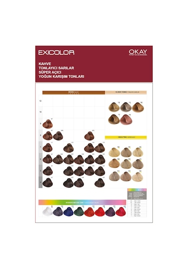 Exicolor Saç Boyası Tüp 60 Ml 0.22 Yoğun Viole 2 Adet Oksidan Hediyeli 4'lü Set