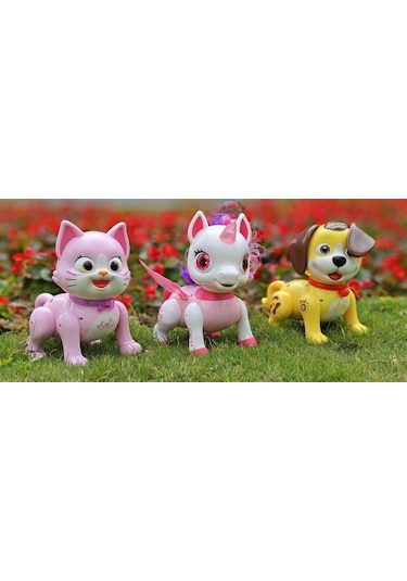 Sm09f/sm05f/sm05z Şarzlı Kumandalı 3 Asorti Seviml