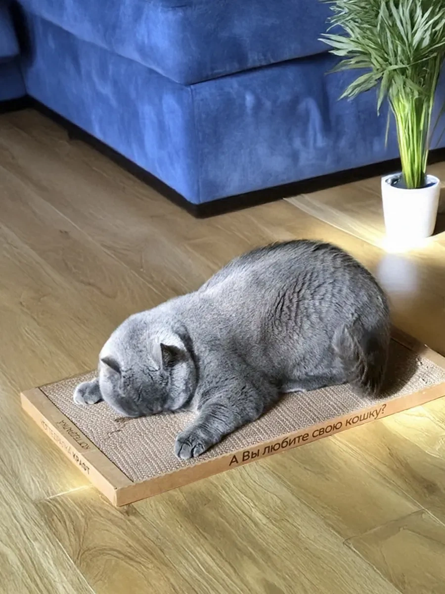 Kogtedralka 30x56 Cm Büyük Karton Buruşuk Kediler İçin Tırmalama Kulesi 23790736