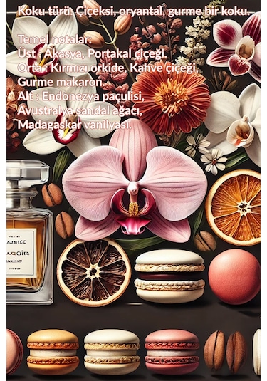 Passion Dance Ve Passion Dance Dark Kadın Parfüm Paketi Diğer